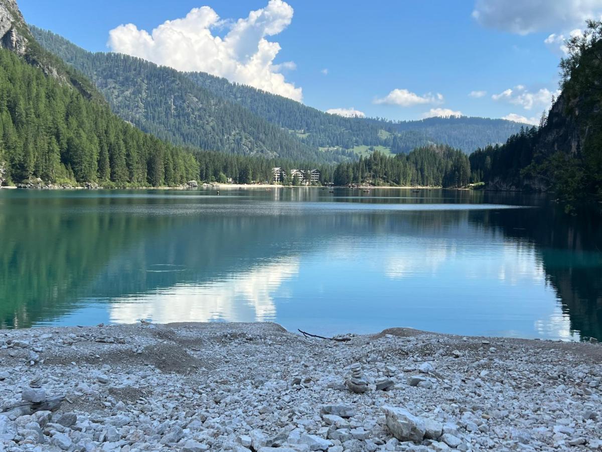 Palazzo Cervesato Appartamento: Maria Luisa Santo Stefano Di Cadore Exterior foto