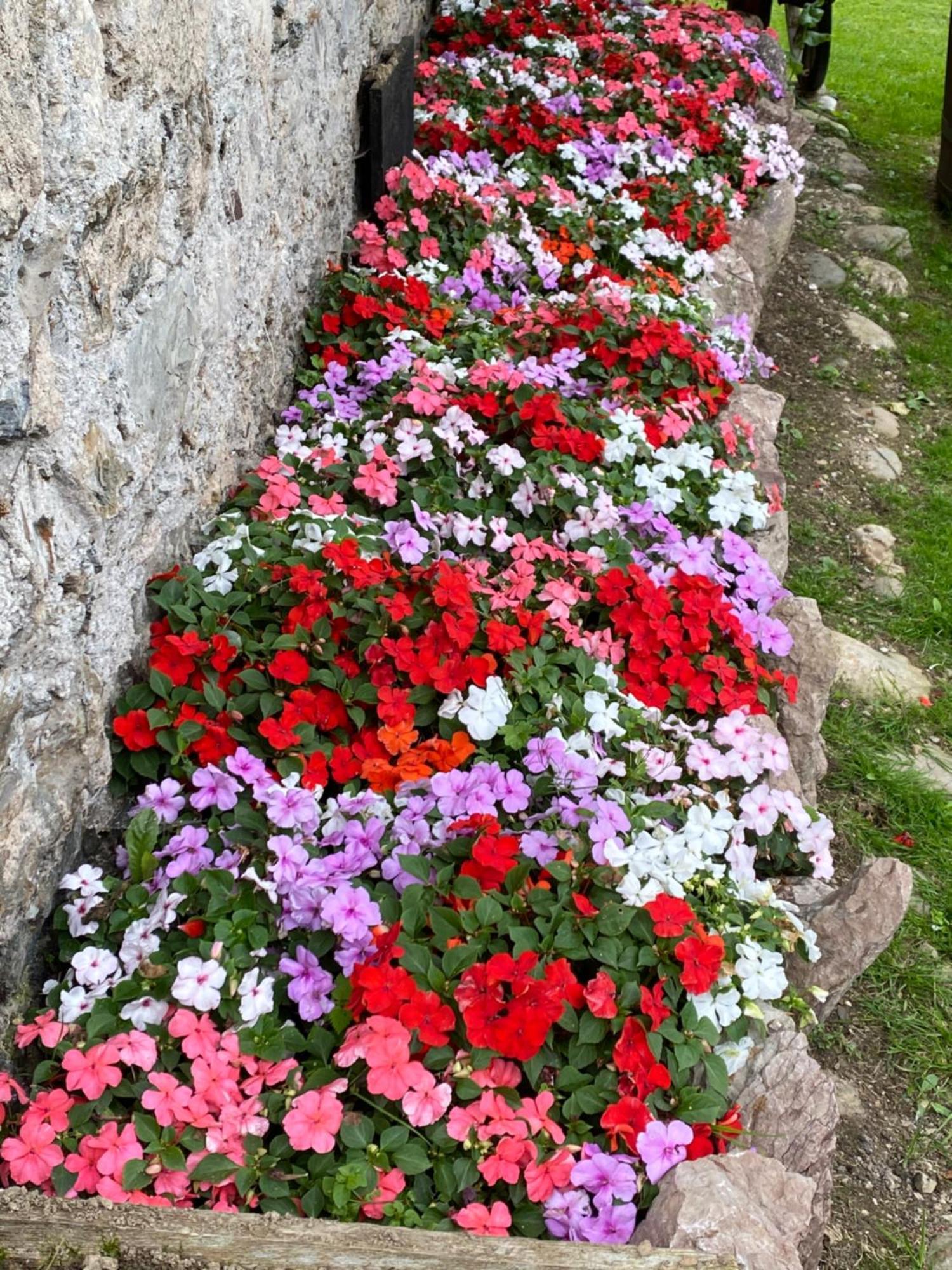 Palazzo Cervesato Appartamento: Maria Luisa Santo Stefano Di Cadore Exterior foto